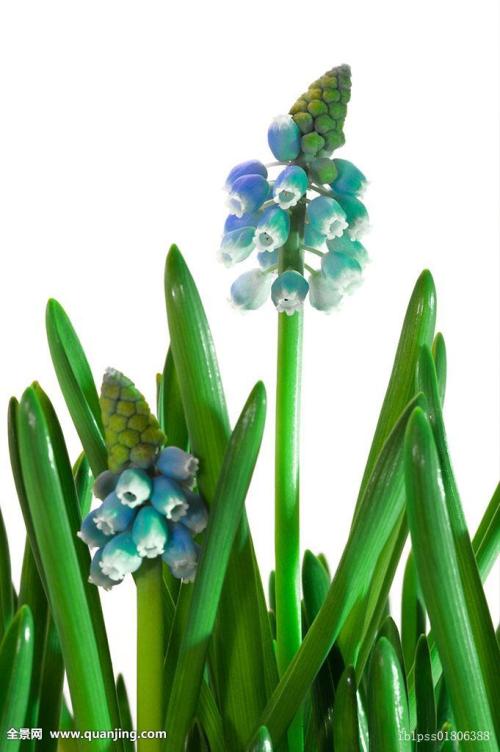 ںӹ2ȷ1֢״Ⱦг̹켣